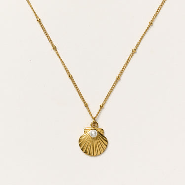 Shimmer & Shell Necklace