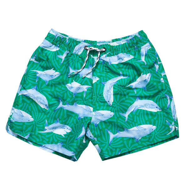 Boys Swimwear, UPF50+ Swimsuits