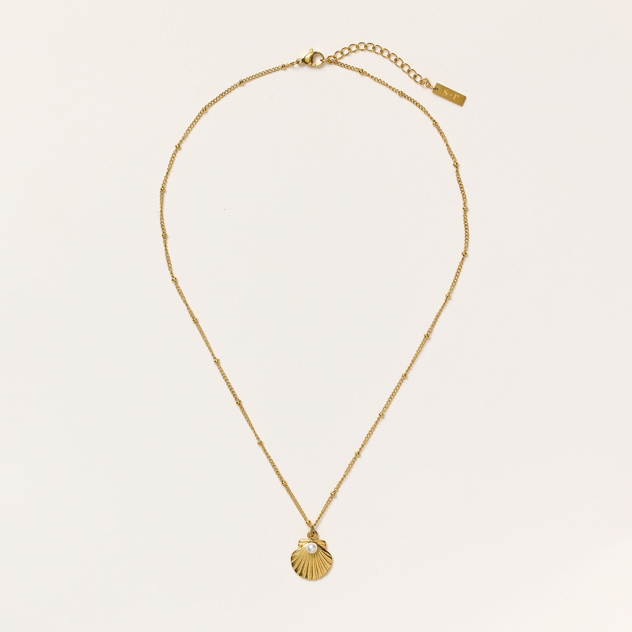 Shell Snapwr Shimmer & Shell Necklace – Snapper Rock
