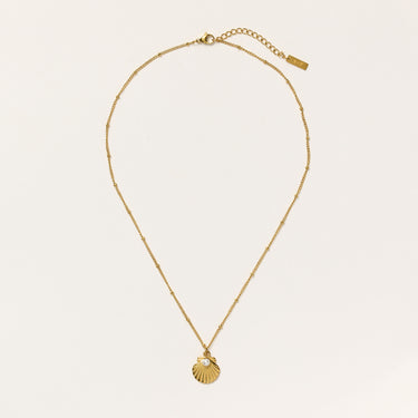 Shimmer & Shell Necklace