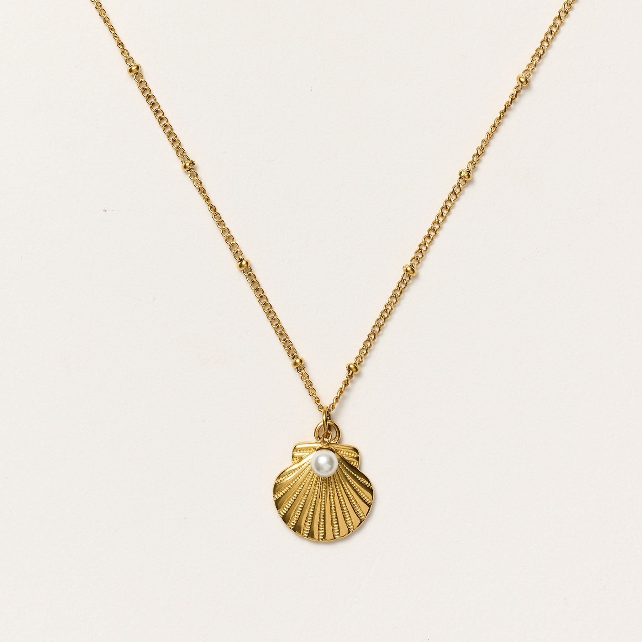 Shell Snapwr Shimmer & Shell Necklace – Snapper Rock