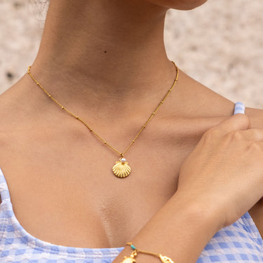 Shimmer & Shell Necklace