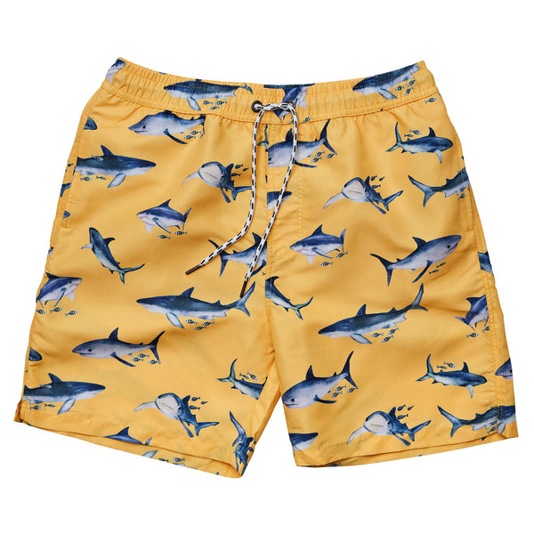 Snapper Rock Mens Fish Frenzy Volley Board Shorts, M